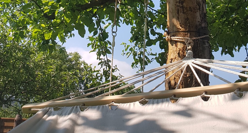 Rückblick – wie ich das gärtnern für mich&nbsp;entdeckte