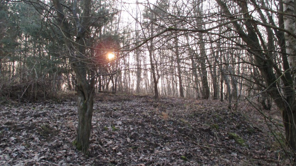 Gedanken übers Sterben