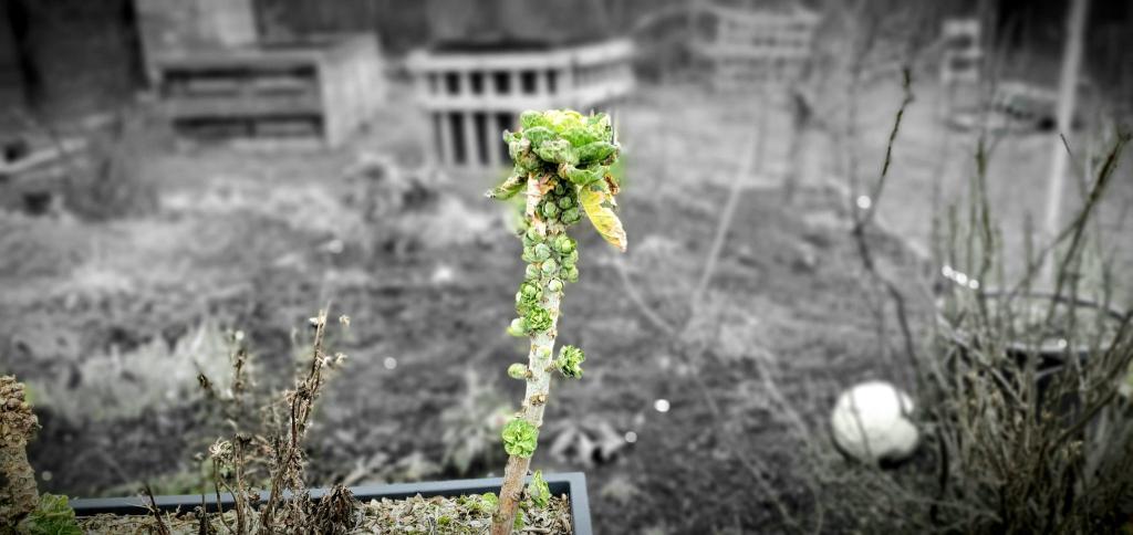 Alles muss klein&nbsp;beginnen…