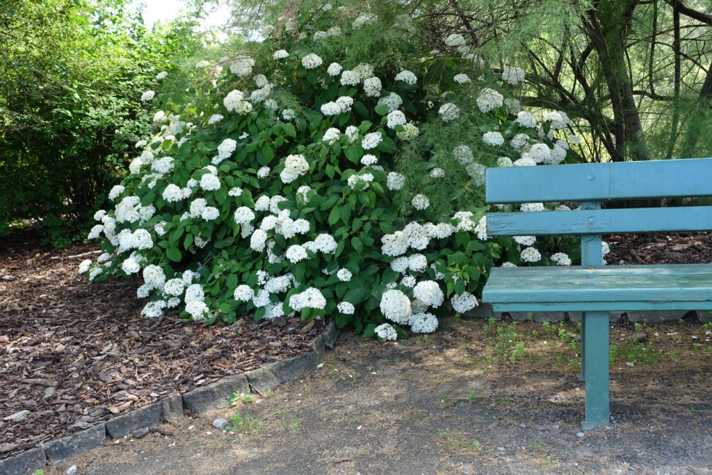 Warum mein Garten Therapie für mich&nbsp;ist