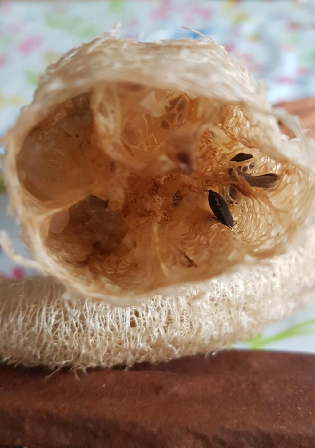 Luffa – Kosmetik, Hausmittel,&nbsp;Gurke