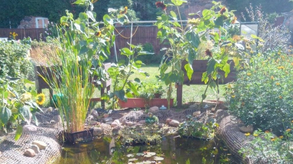 Von Fröschen und&nbsp;Eidechsen